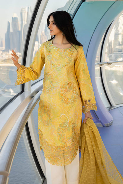 Rangrasiya | Carnation Summer Edit 25 | Liana - House Of Anaya