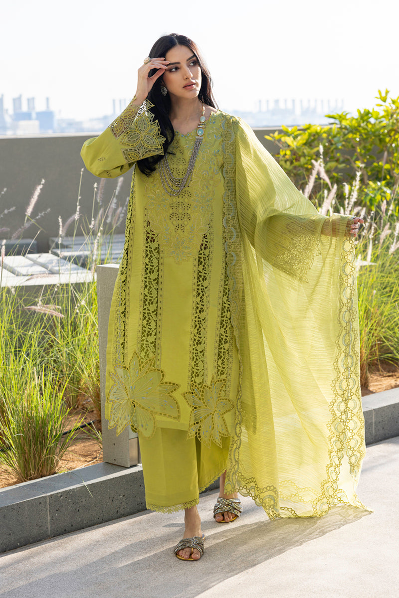 Rangrasiya | Carnation Summer Edit 25 | Aaleen - House Of Anaya