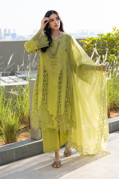 Rangrasiya | Carnation Summer Edit 25 | Aaleen - House Of Anaya