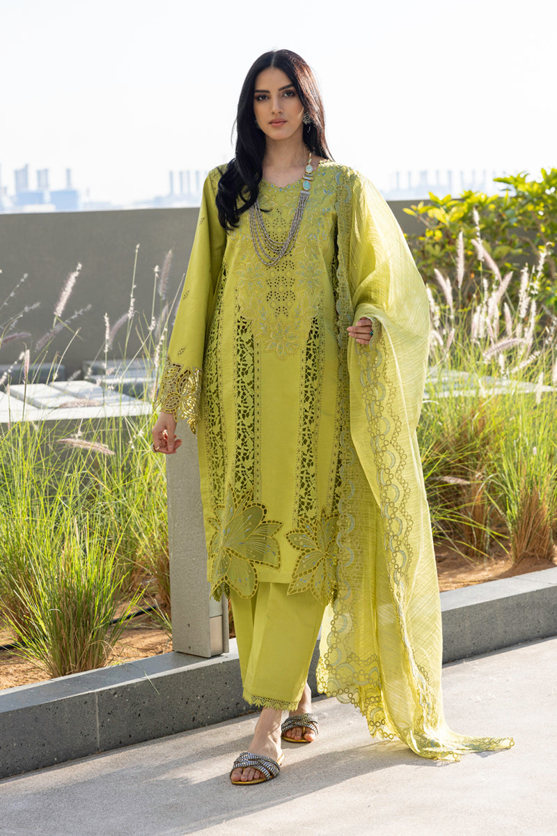 Rangrasiya | Carnation Summer Edit 25 | Aaleen - House Of Anaya