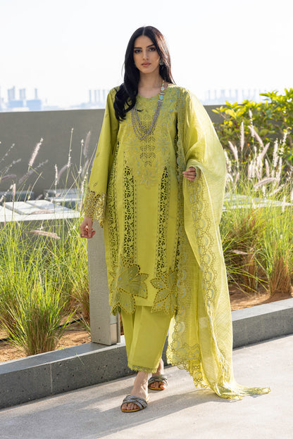 Rangrasiya | Carnation Summer Edit 25 | Aaleen - House Of Anaya