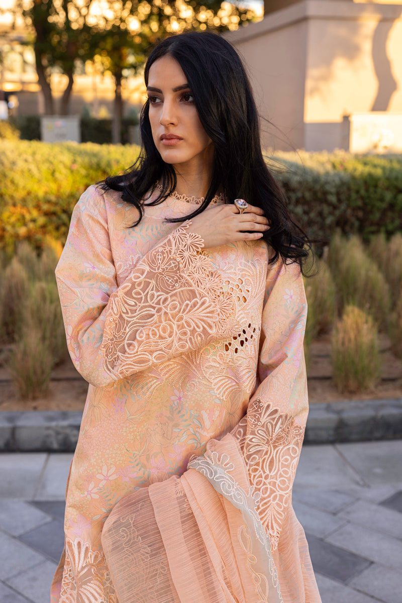 Rangrasiya | Carnation Summer Edit 25 | Zinnia - House Of Anaya