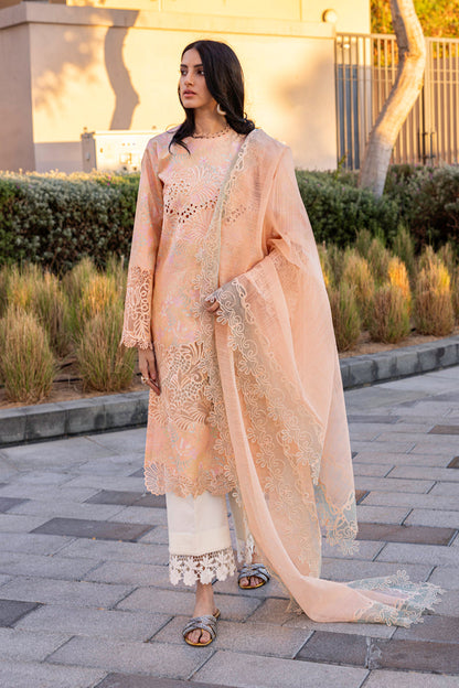Rangrasiya | Carnation Summer Edit 25 | Zinnia