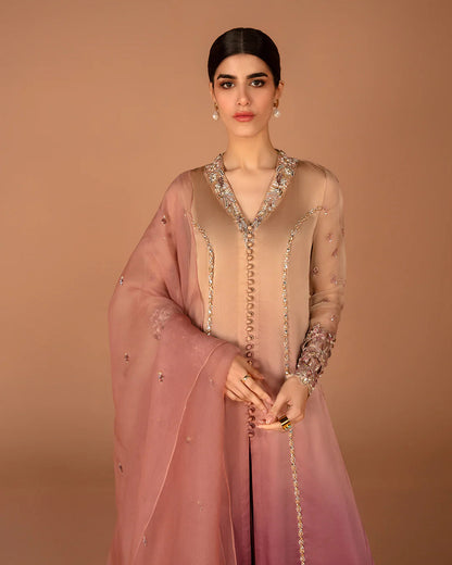 Faiza Saqlain | Aleira Evening Edit 24 | Eshe