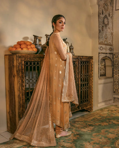 Faiza Saqlain | Amirah | Fariba