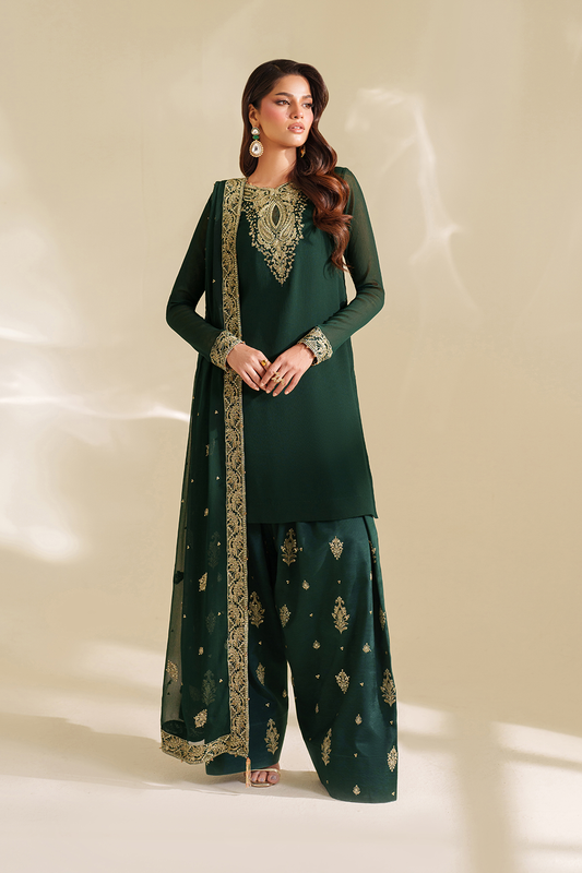 Iznik I Festive Formal I CC-75 Embroidered Chiffon