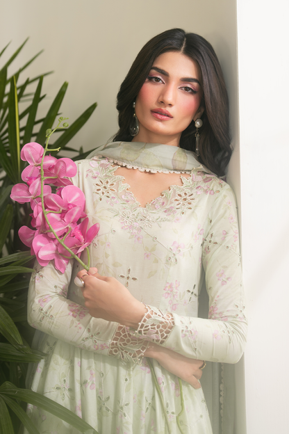 Iznik | Festive Edition | IFE-11