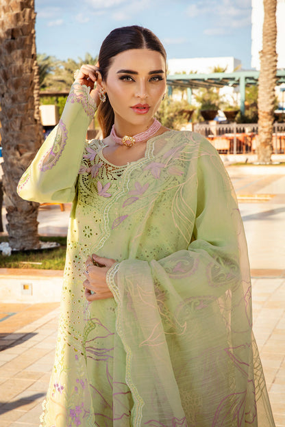 Rangrasiya | Premium Summer Lawn 25 | Ayleen
