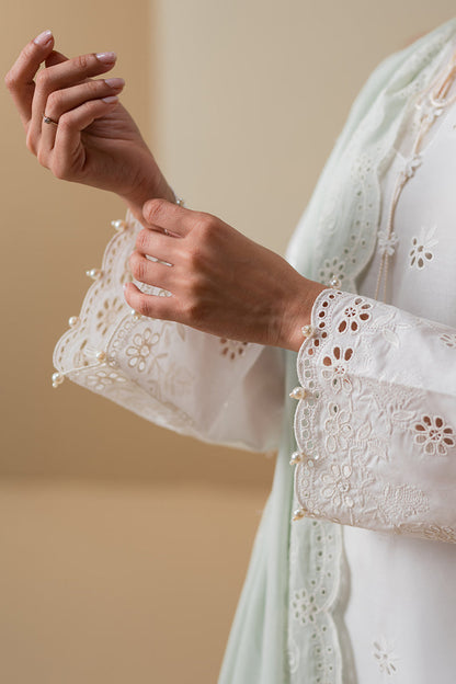 Cross Stitch | Chikankari Lawn Collection | P-06 - House Of Anaya