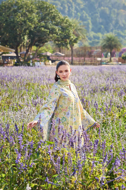 Farasha | Printed Essentials’26 | Lemon Fern