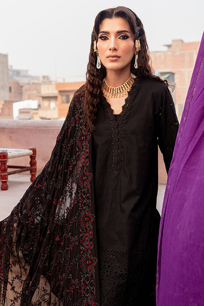 Nureh | Lawn Jacquard | NS-80 - House Of Anaya