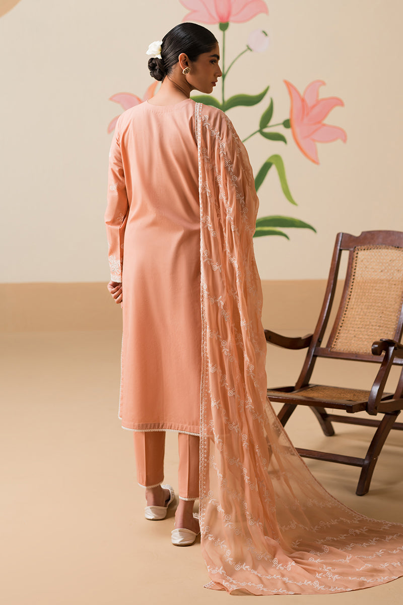 Cross Stitch | Chikankari Lawn Collection | P-03 - House Of Anaya