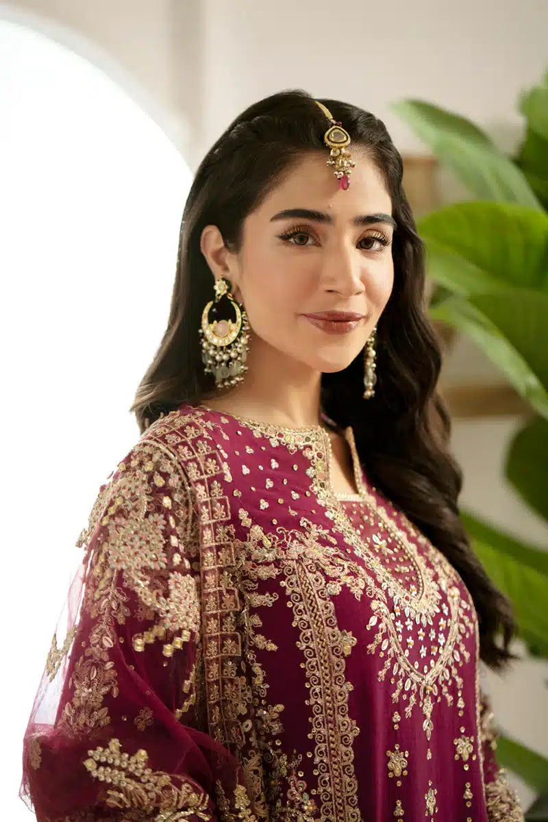 Qalamkar | Dilnaz Wedding Formals | DN-07 ALEENA - House Of Anaya