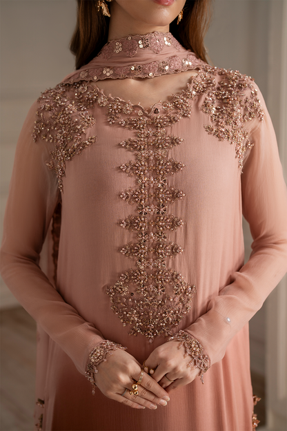 Iznik I Festive Formal I UE-479 Embroidered Chiffon