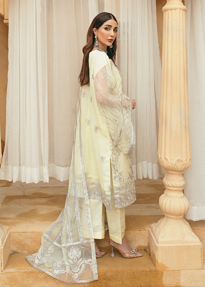 Daud Abbas | Formals Collection | Nu-Bahar - House Of Anaya