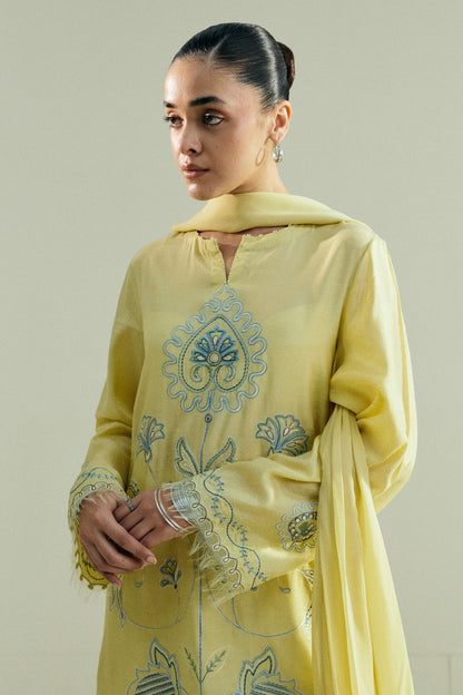 Zara Shahjahan | Pret A W 25 | CR25P0963
