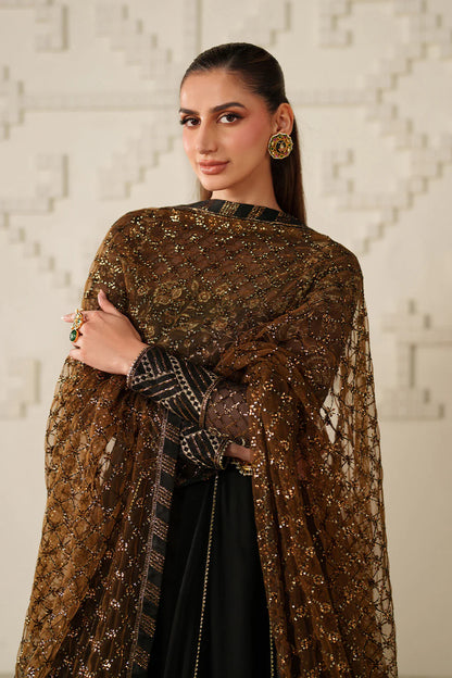 Iznik | Festive Formals | UE-621 Embroidered Chiffon