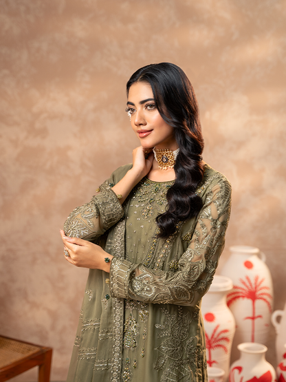 Zebtan | Zeenat Festive Collection | ZN-04 - House Of Anaya