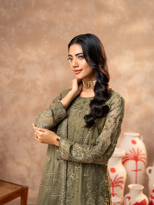 Zebtan | Zeenat Festive Collection | ZN-04 - House Of Anaya
