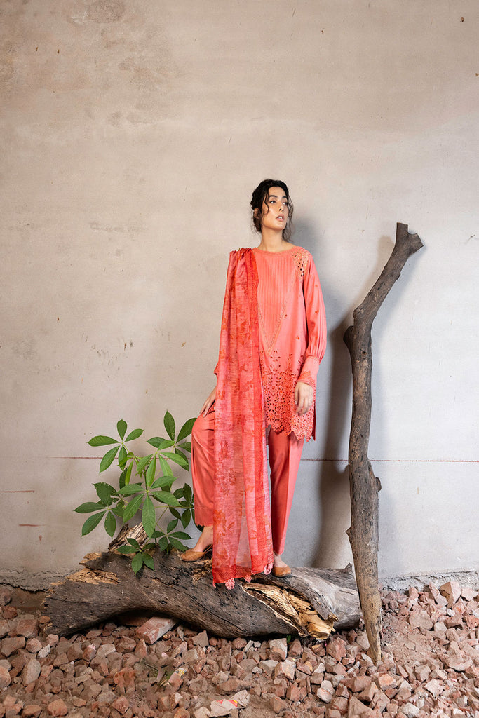 Sobia Nazir | Fall Edit 24 | DESIGN 6B FALL EDIT 2024 UNSTITCHED - House Of Anaya