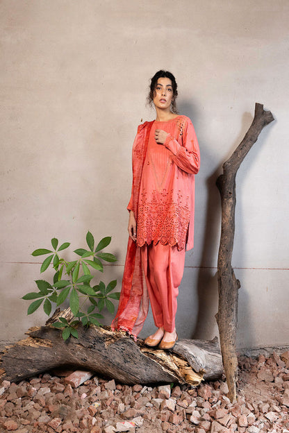 Sobia Nazir | Fall Edit 24 | DESIGN 6B FALL EDIT 2024 UNSTITCHED - House Of Anaya