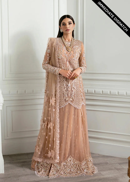 Crimson | CRIMSON X SAIRA SHAKIRA  WEDDING '24 | Stardust - House Of Anaya  