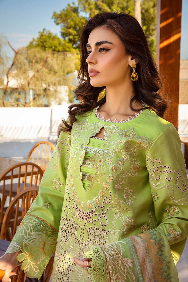 Rangrasiya | Premium Summer Lawn 25 | Elaheh