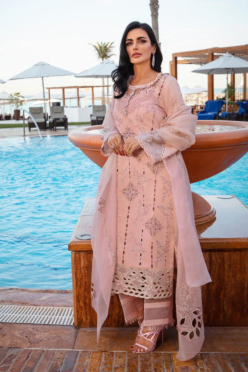 Rangrasiya | Premium Summer Lawn 25 | Amani