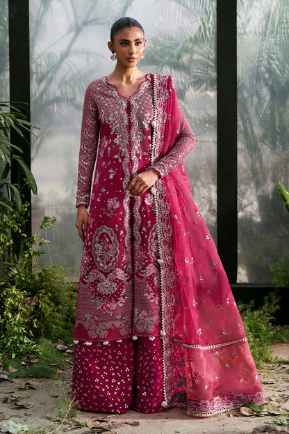 Afrozeh | La Fuschia 25 | Rowan