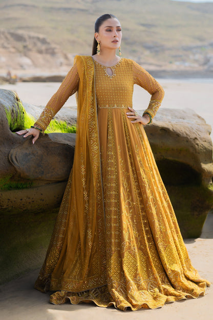 Naqshi | Sahil Kinaray | AINARA - House Of Anaya