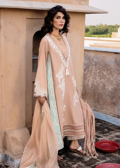 Crimson | MITTI - WINTER PRET '25 | Nawabi Notes