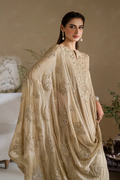 Iznik | Chinon Chiffon | CC-58 Embroidered Chiffon