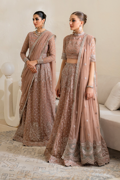 Iznik | Chinnon Chiffon | CC-43 Embroidered Net - House Of Anaya