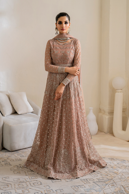 Iznik | Chinnon Chiffon | CC-43 Embroidered Net - House Of Anaya