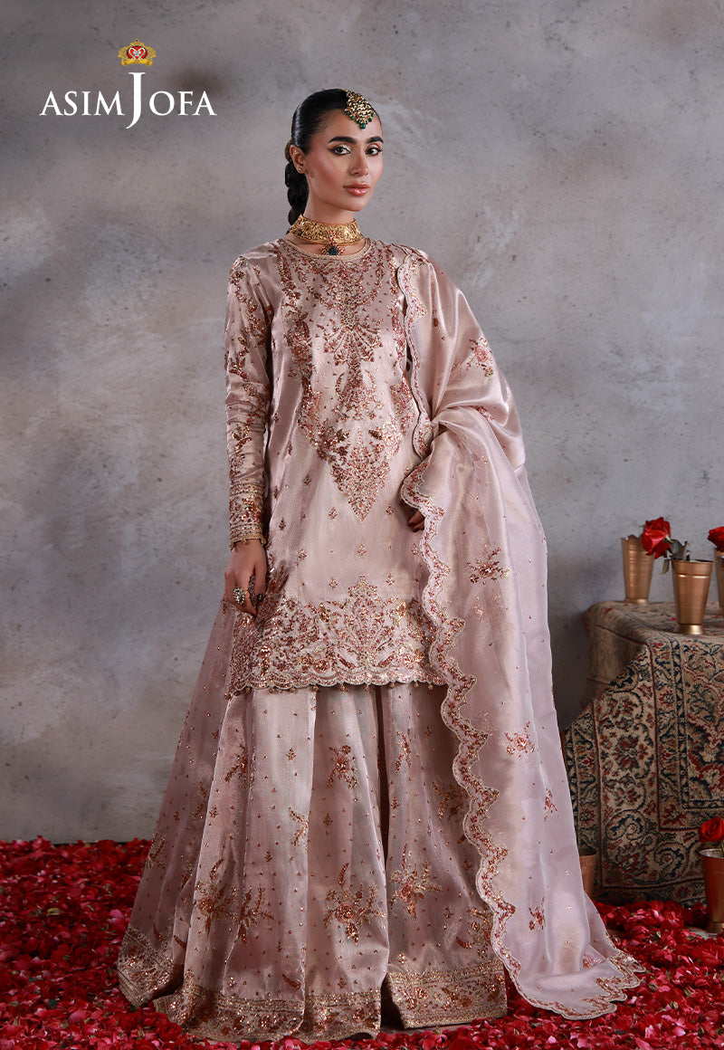 Asim Jofa | Ishq e Eid | AJULN-15 Embroidered Zari Tissue Net 3 Pcs