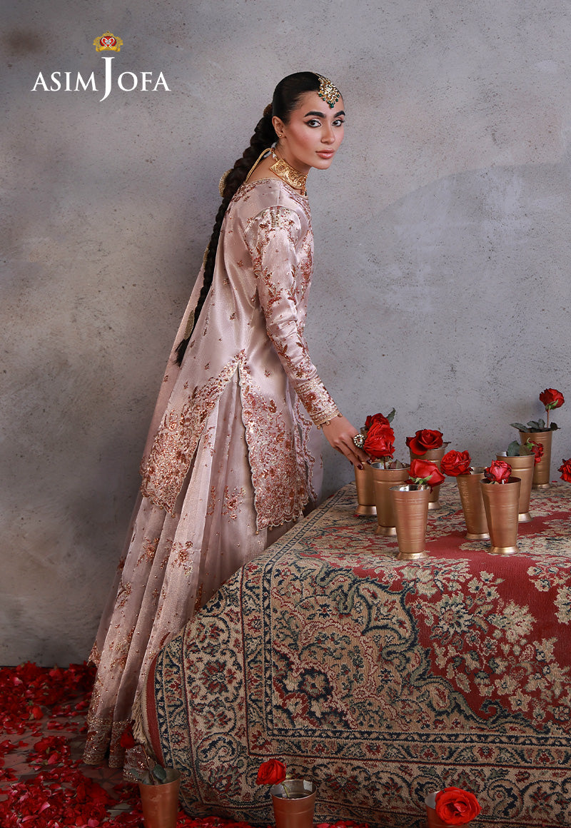 Asim Jofa | Ishq e Eid | AJULN-15 Embroidered Zari Tissue Net 3 Pcs