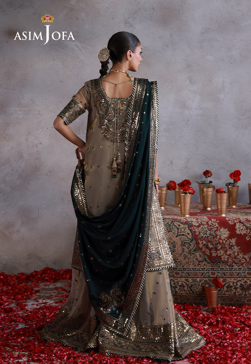 Asim Jofa | Ishq e Eid | AJULN-19 Embroidered Zari Check Net  3 Pcs