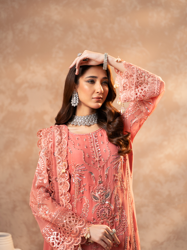 Zebtan | Zeenat Festive Collection | ZN-05 - House Of Anaya