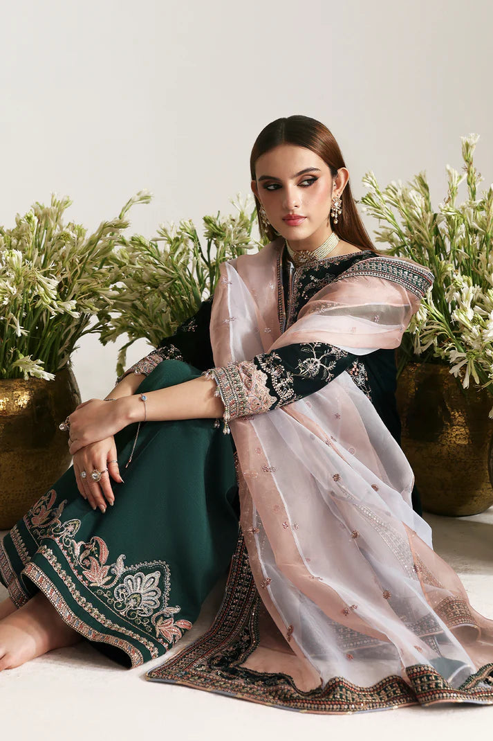 Emaan Adeel | Zarposh Velvet Collection | MEHRUUNISA