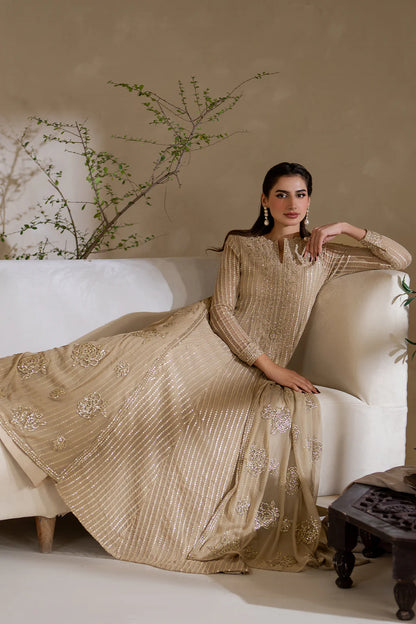 Iznik | Chinon Chiffon | CC-58 Embroidered Chiffon