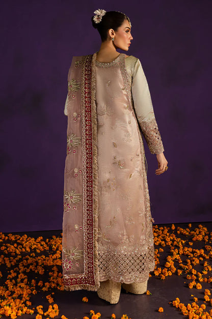 Nureh | Drop 2 Collection | Sabeela - FP-147