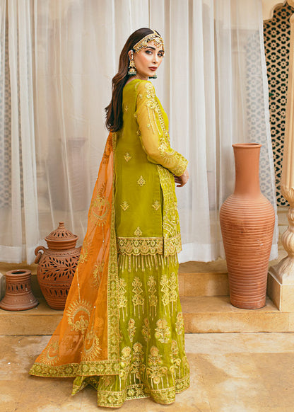 Daud Abbas | Formals Collection | Henna - House Of Anaya