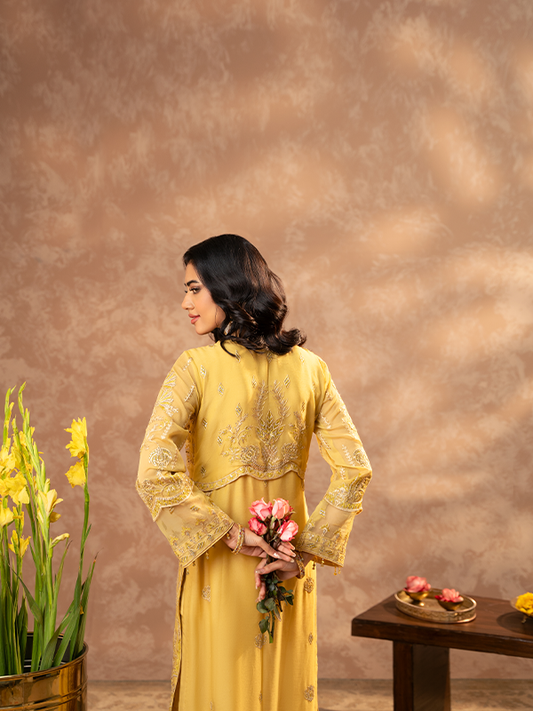 Zebtan | Zeenat Festive Collection | ZN-01 - House Of Anaya