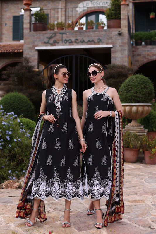 Noor by Saadia Asad | Eid Luxe Printkari 24 | D6 - House Of Anaya