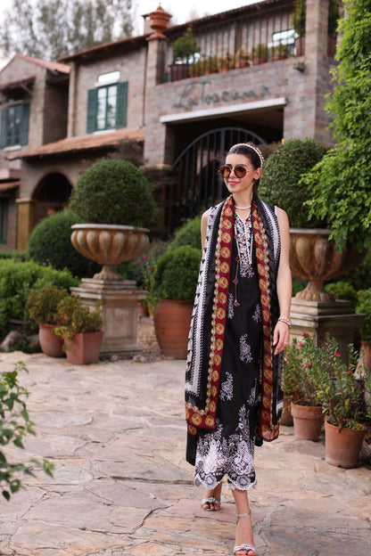 Noor by Saadia Asad | Eid Luxe Printkari 24 | D6 - House Of Anaya