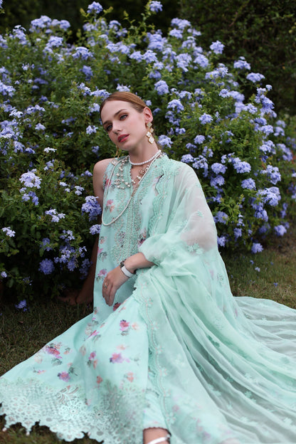 Noor by Saadia Asad | Eid Luxe Printkari 24 | D5 - House Of Anaya