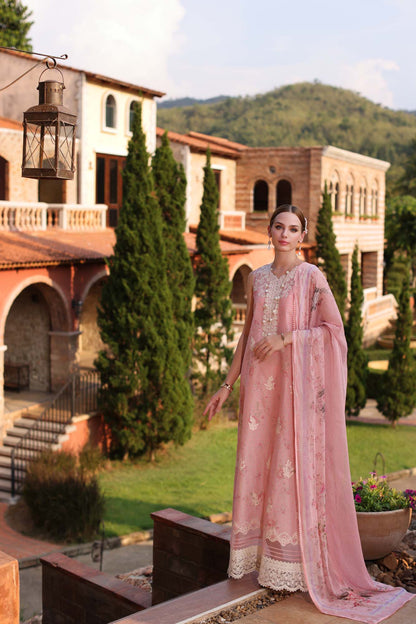 Noor by Saadia Asad | Eid Luxe Printkari 24 | D7 - House Of Anaya