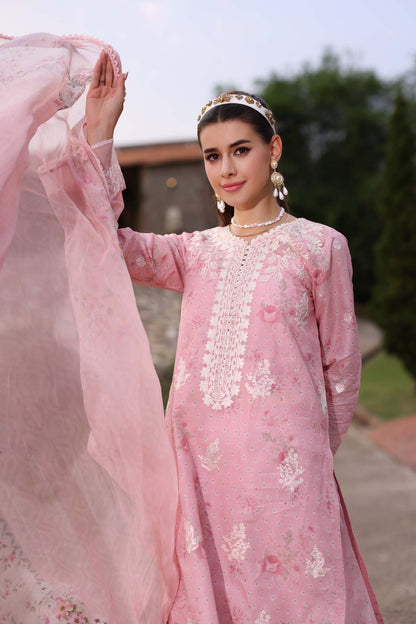 Noor by Saadia Asad | Eid Luxe Printkari 24 | D7 - House Of Anaya