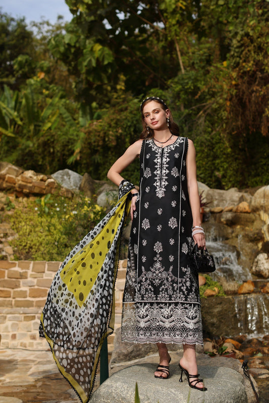 Noor by Saadia Asad | Luxe Chikankari 25 | D3-B - House Of Anaya