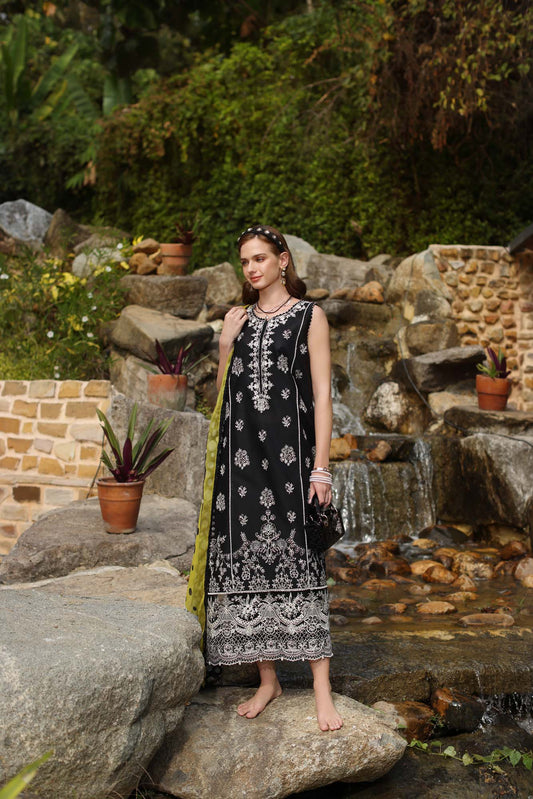 Noor by Saadia Asad | Luxe Chikankari 25 | D3-B - House Of Anaya